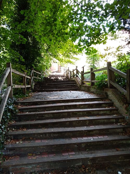 walking the pilgrims way, farnham to guildford, long distance walks in the uk, solo walking for women, farnham castle, the north downs way, churches of england, domesday book town of the england