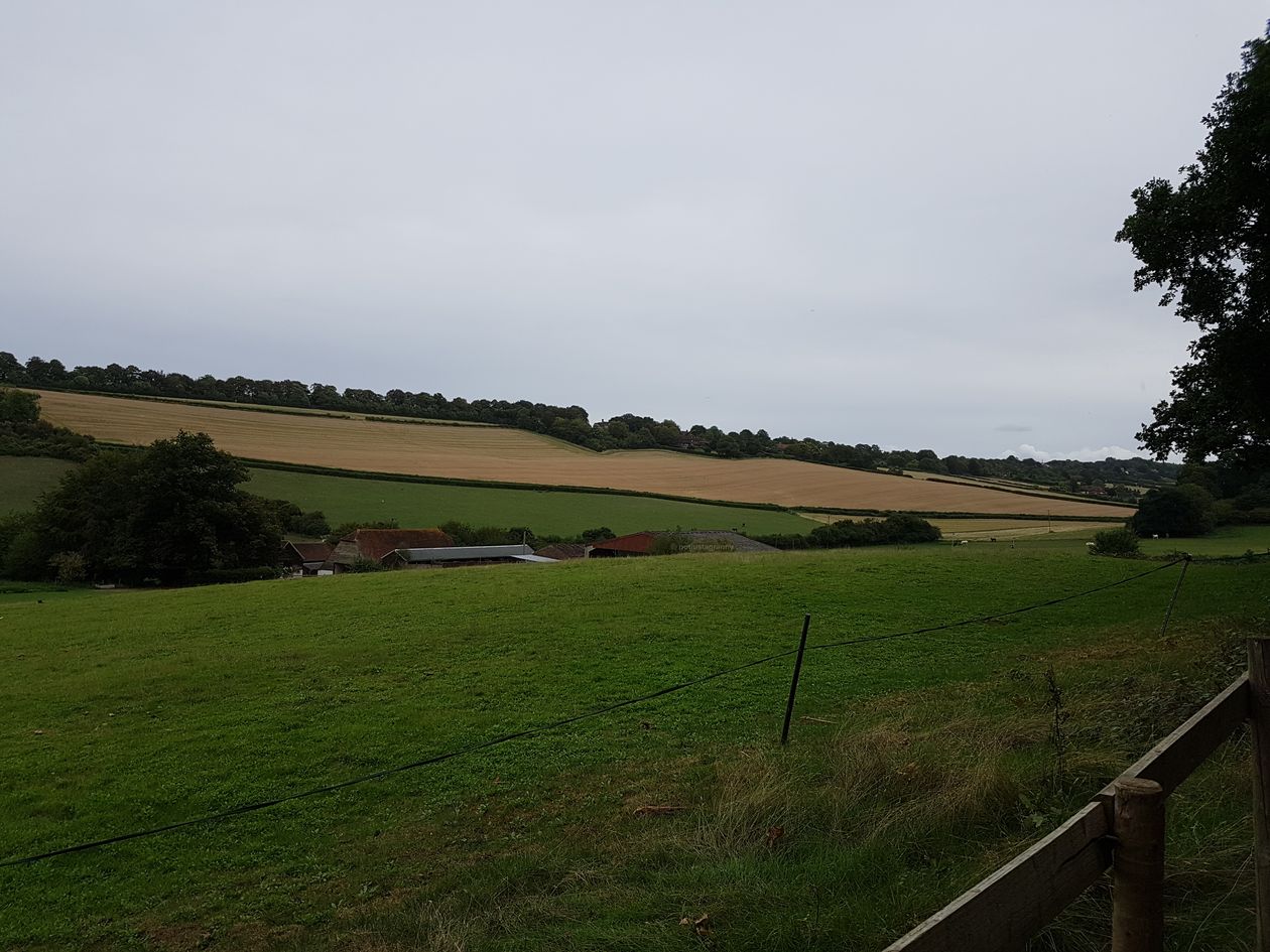 chantry wood, the north downs way, pilgrims way guildford, river wey, walking the pilgrims way, the pilgrims way winchester to canterbury, long distance walks england, women walking solo