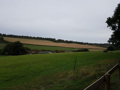 chantry wood, the north downs way, pilgrims way guildford, river wey, walking the pilgrims way, the pilgrims way winchester to canterbury, long distance walks england, women walking solo