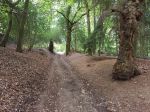 the north downs way, pilgrims way guildford, river wey, walking the pilgrims way, the pilgrims way winchester to canterbury, long distance walks england, women walking&nbsp;solo