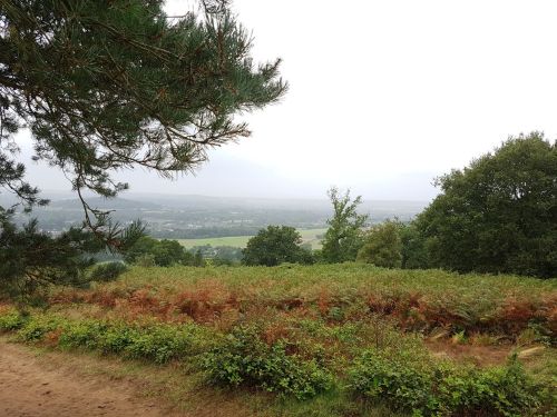 church of st martha on the hill surrey, the north downs way, pilgrims way guildford, river wey, walking the pilgrims way, the pilgrims way winchester to canterbury, long distance walks england, women walking solo