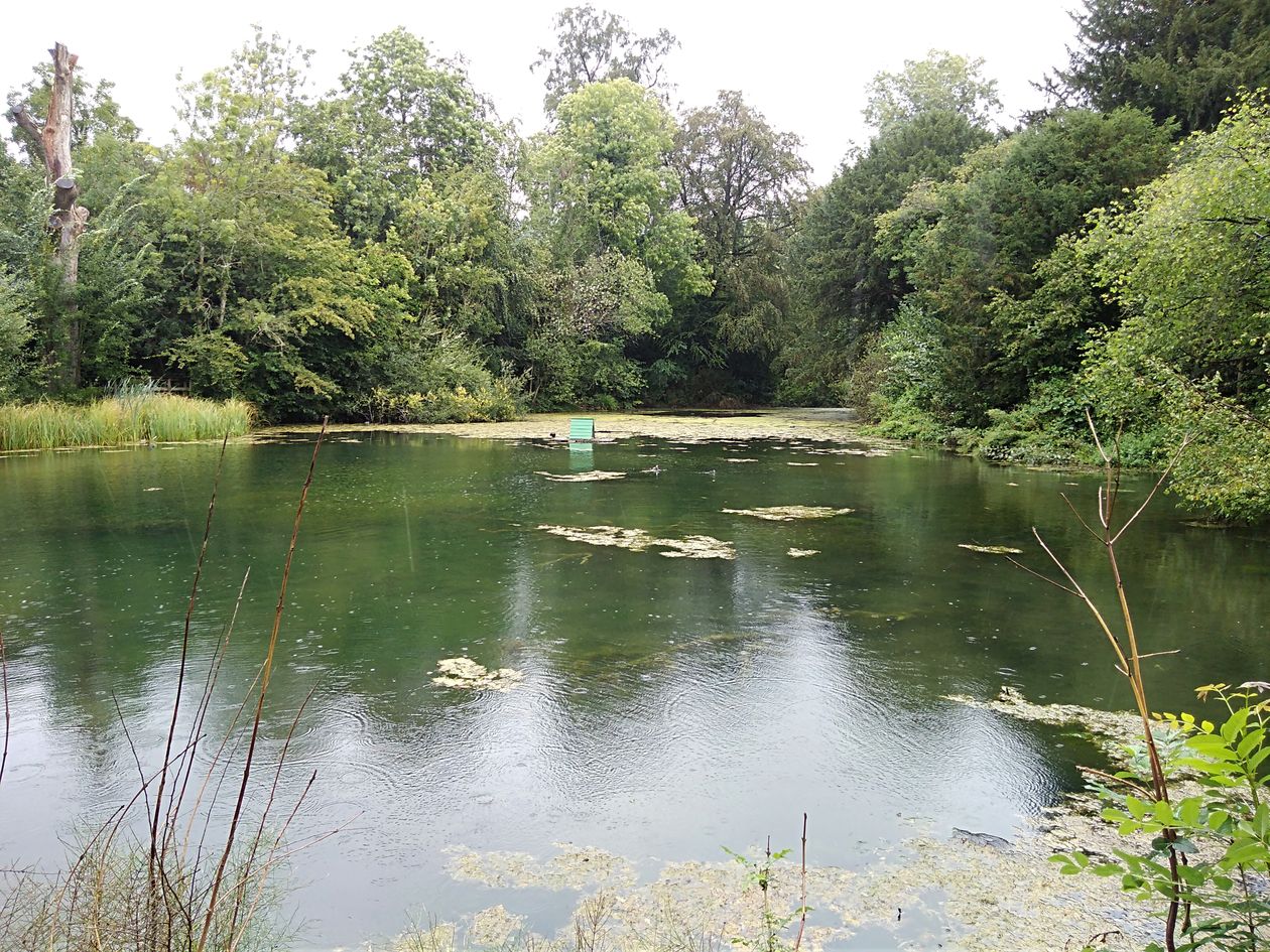 the silent pool surrey, walking the pilgrims way, the pilgrims way winchester to canterbury, long distance walks england, women walking solo