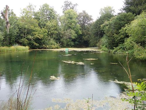 the silent pool surrey, walking the pilgrims way, the pilgrims way winchester to canterbury, long distance walks england, women walking solo