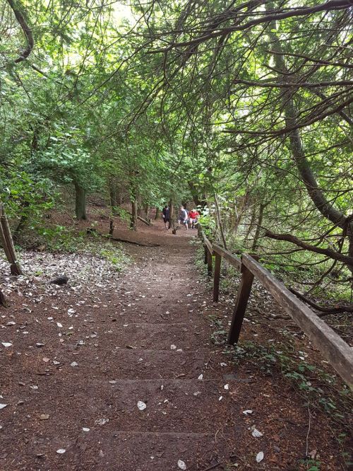 box hill, national trust, walking the pilgrims way, the pilgrims way winchester to canterbury, long distance walks england, women walking solo