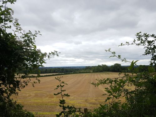 box hill, national trust, walking the pilgrims way, the pilgrims way winchester to canterbury, long distance walks england, women walking solo