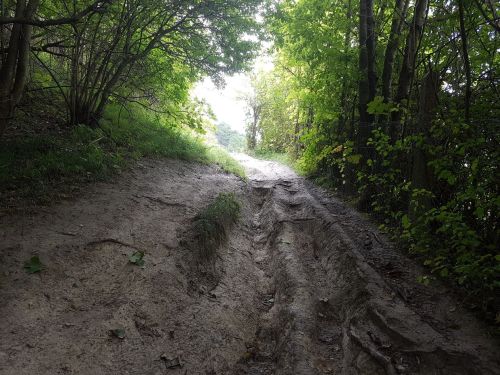 box hill, national trust, walking the pilgrims way, the pilgrims way winchester to canterbury, long distance walks england, women walking solo