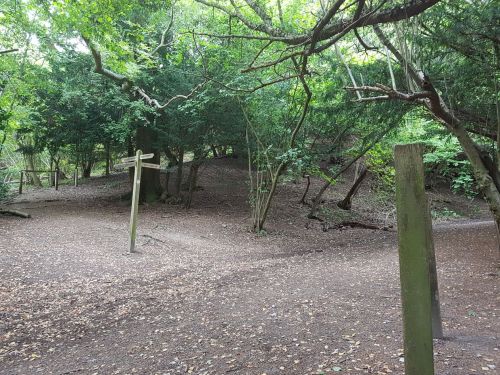 box hill, national trust, walking the pilgrims way, the pilgrims way winchester to canterbury, long distance walks england, women walking solo