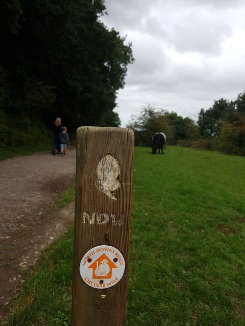 the north downs way, reigate hill, national trust, walking the pilgrims way, the pilgrims way winchester to canterbury, long distance walks england, women walking solo