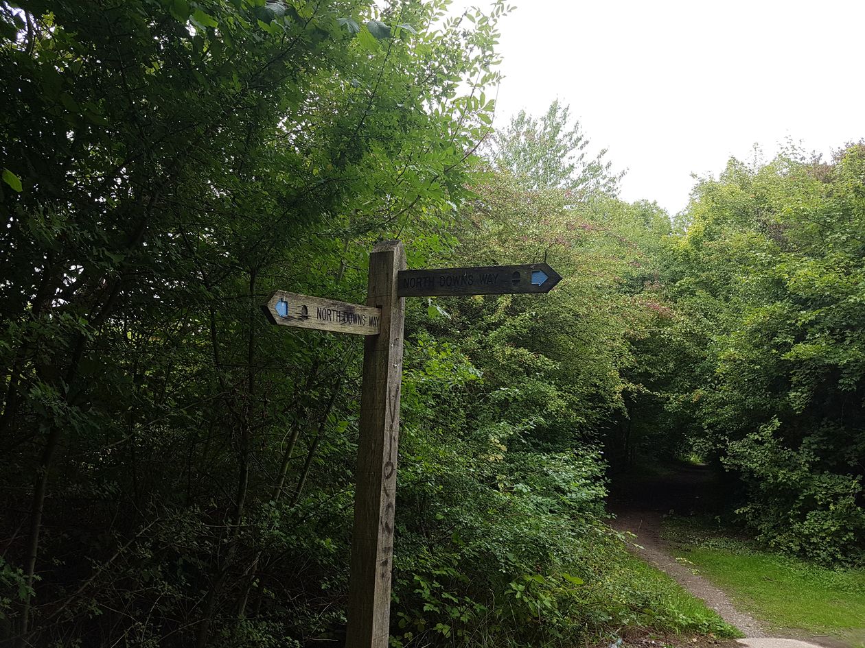 walking the pilgrims way, the pilgrims way winchester to canterbury, long distance walks england, women walking solo, merstham to oxted, the north downs way