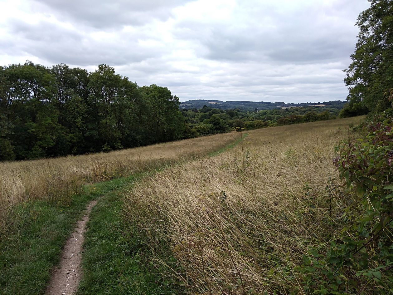 walking the pilgrims way, the pilgrims way winchester to canterbury, long distance walks england, women walking solo, merstham to oxted, the north downs way