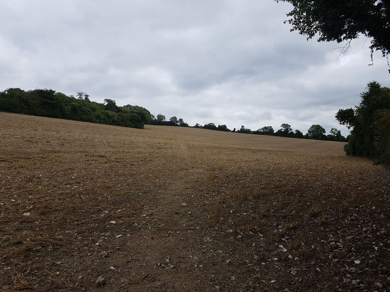 walking the pilgrims way, the pilgrims way winchester to canterbury, long distance walks england, women walking solo, merstham to oxted, the north downs way