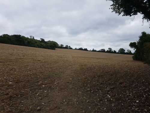 walking the pilgrims way, the pilgrims way winchester to canterbury, long distance walks england, women walking solo, merstham to oxted, the north downs way