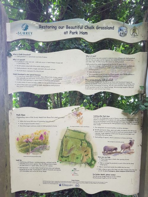 pilgrims way, long distance walks, backpacking, walking the pilgrims way, the pilgrims way winchester to canterbury, women solo walking