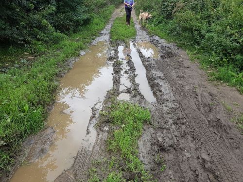 pilgrims way, long distance walks, backpacking, walking the pilgrims way, the pilgrims way winchester to canterbury, women solo walking