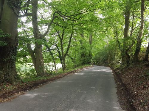 pilgrims way, long distance walks, backpacking, walking the pilgrims way, the pilgrims way winchester to canterbury, women solo walking