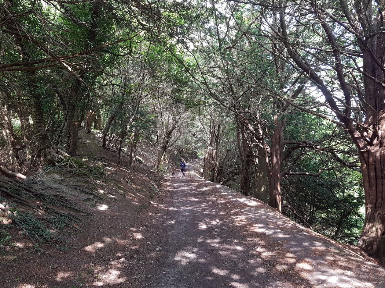 backpacking, long distance walks, walking the pilgrims way, the pilgrims way winchester to canterbury, women walking solo