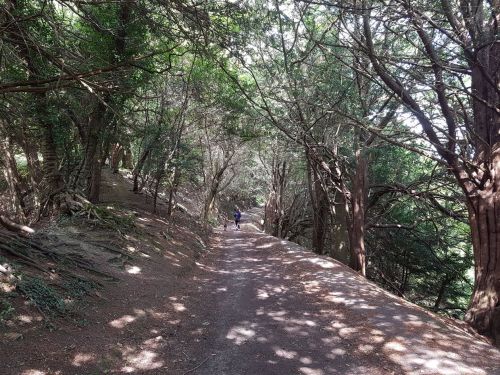 backpacking, long distance walks, walking the pilgrims way, the pilgrims way winchester to canterbury, women walking solo