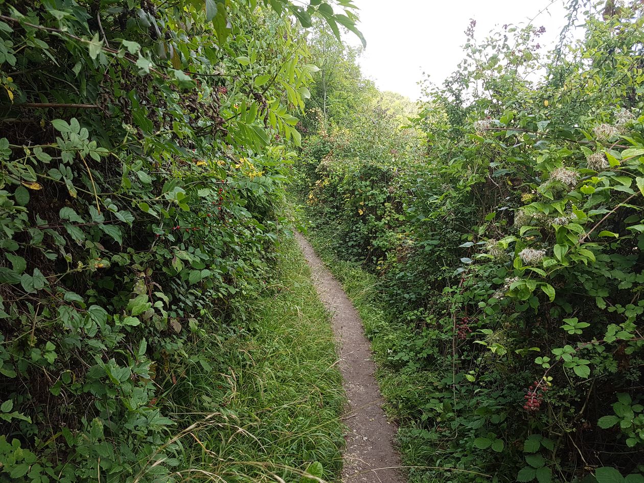 backpacking, long distance walks, walking the pilgrims way, the pilgrims way winchester to canterbury, women walking solo