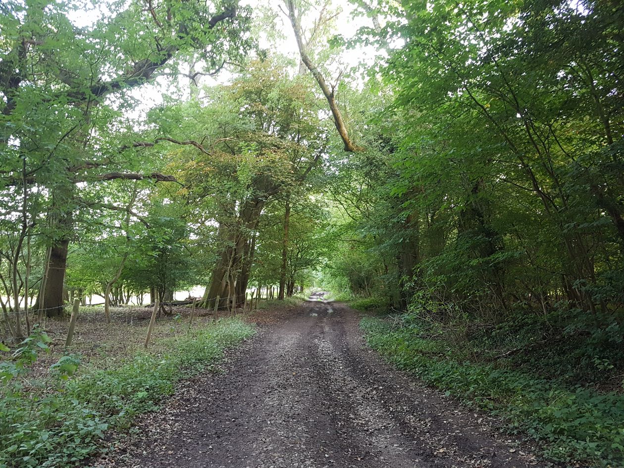the meridian line, backpacking, long distance walks, walking the pilgrims way, the pilgrims way winchester to canterbury, women walking solo