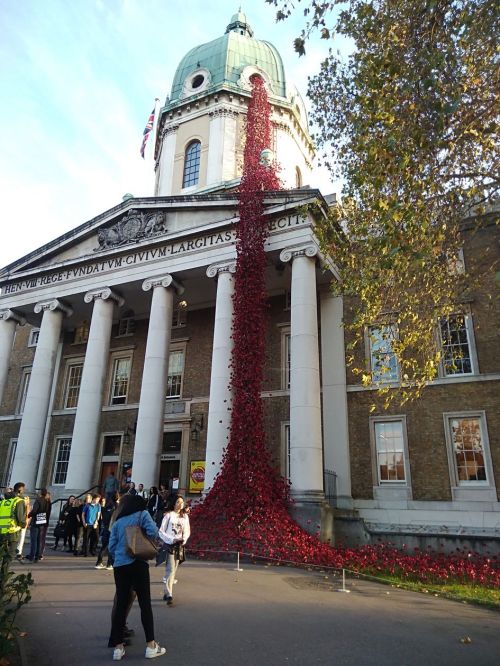 poppies tour, weeping window, imperial war museum, blood swept land and seas of red, 100th anniversary of world war one, weeping window imperial war museum, visit london