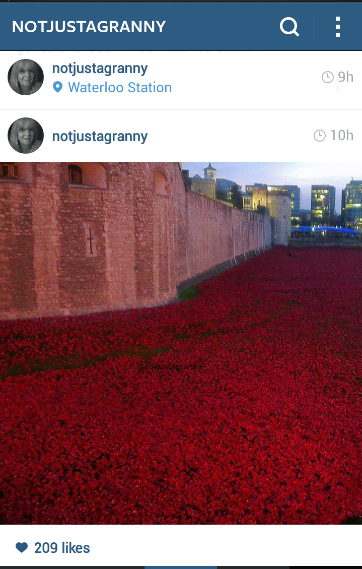 tower of london, Blood Swept Lands and Seas of Red, tower poppies, poppies tour, 100th anniversary armistice, world war one