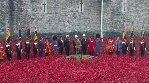 world war one armistice, tower poppies, blood swept lands and seas of red, poppies tour, 100th anniversary of armistice, imperial war museum weeping window, tower of london poppies