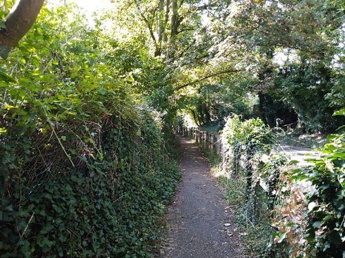 farnham castle, visit farnham castle, castles of the uk, the pilgrims way, walking the pilgrims way, long distance walks of england, women walking solo, history of england, domesday towns of england