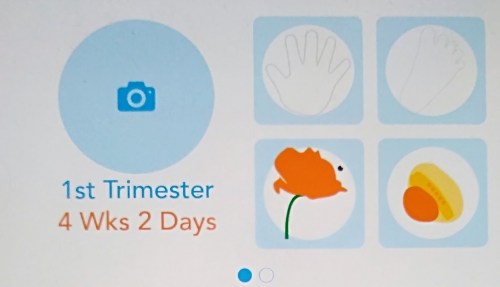 ovia app, baby scan, first grandchild, pregnancy