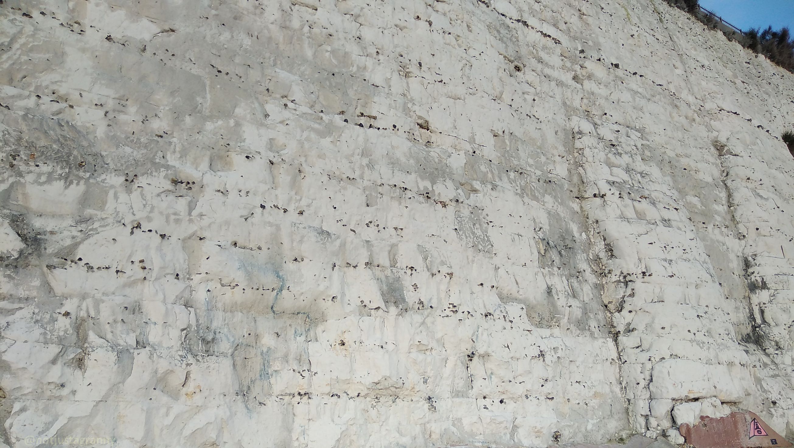 chalk cliffs in ramsgate, walk 1000 miles, coastal walks of england, walks on the isle of thanet, broadstairs to ramsgate, walking for health