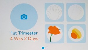 ovia app baby progress