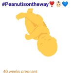20190119 peanut is on the&nbsp;way