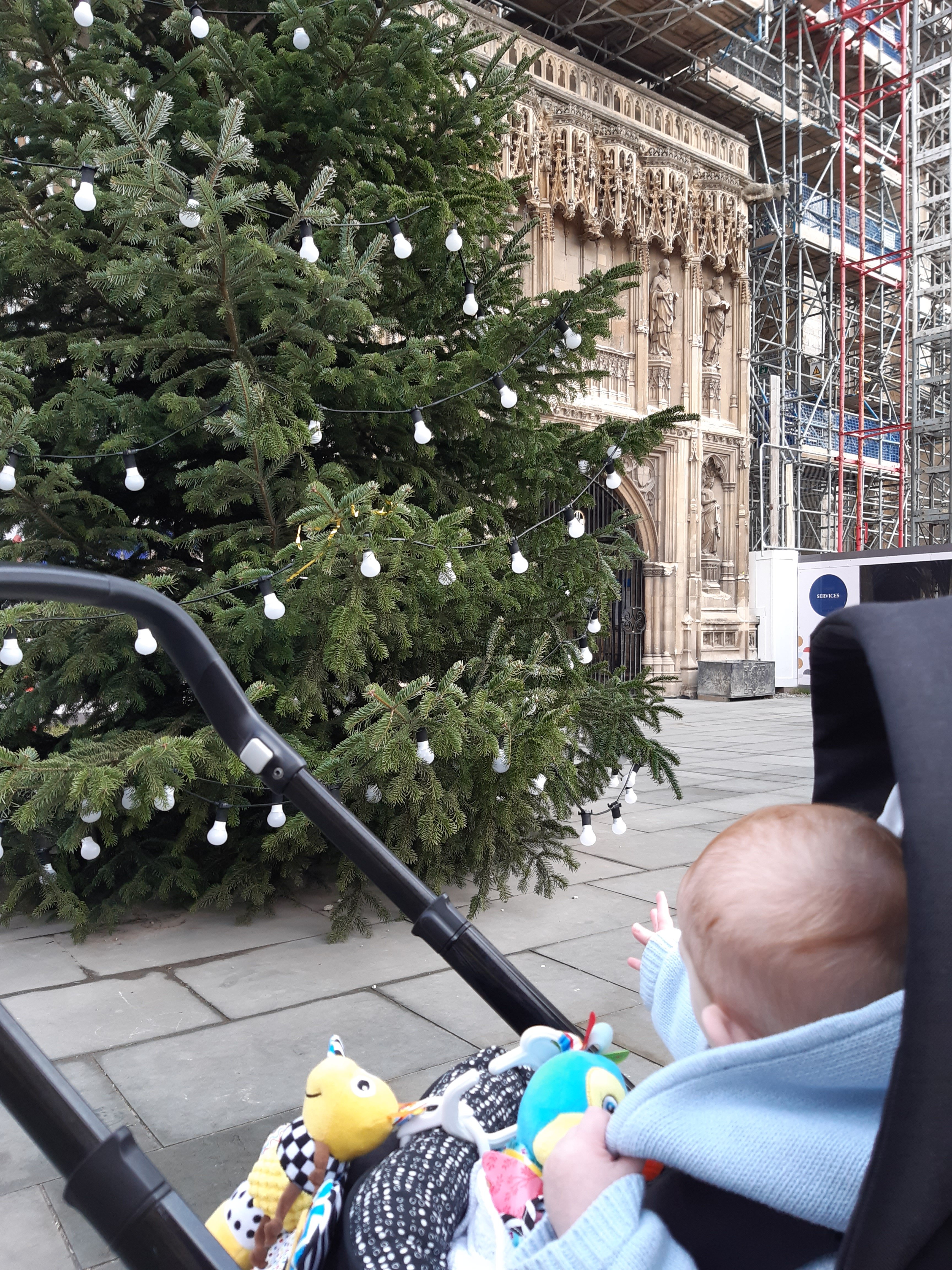 Granny and Jamie's adventures 