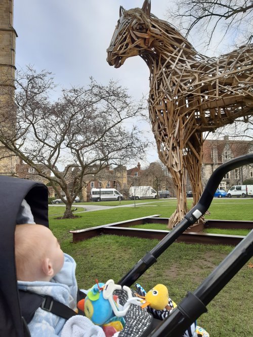 Granny and Jamie's adventures 