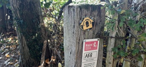 pilgrims way, north downs way,