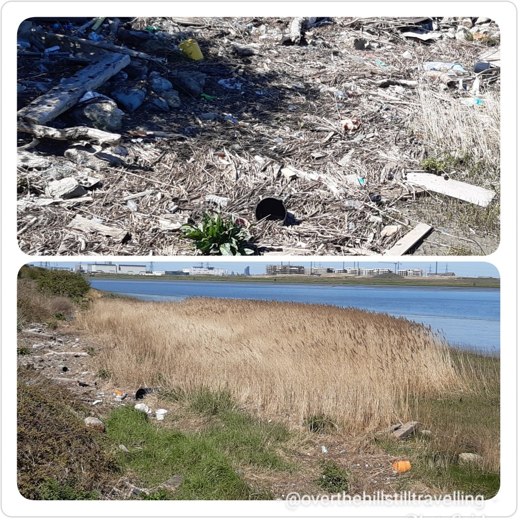 plastic pollution on the river thames
