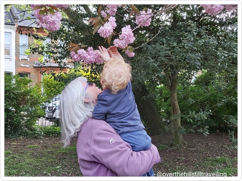 Anny & Mamie inspecting the cherry blossom tree