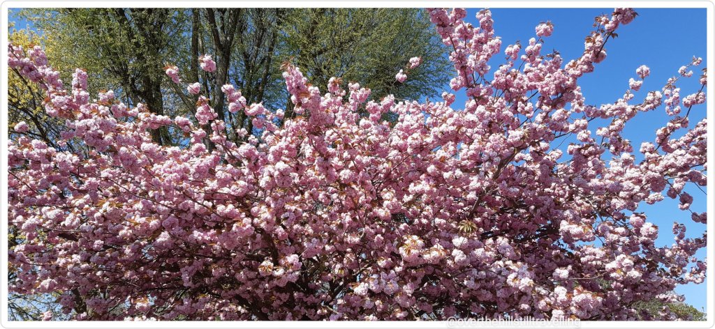 Walking the Thames Path